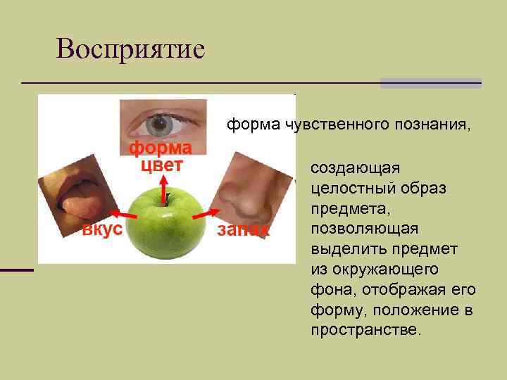 Какое слово пропущено в схеме восприятие ощущение формы чувственного познания