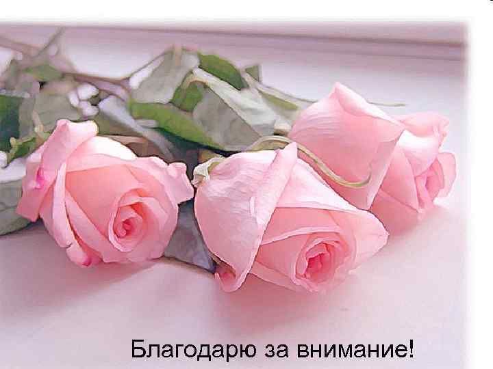 Благодарю за внимание! 