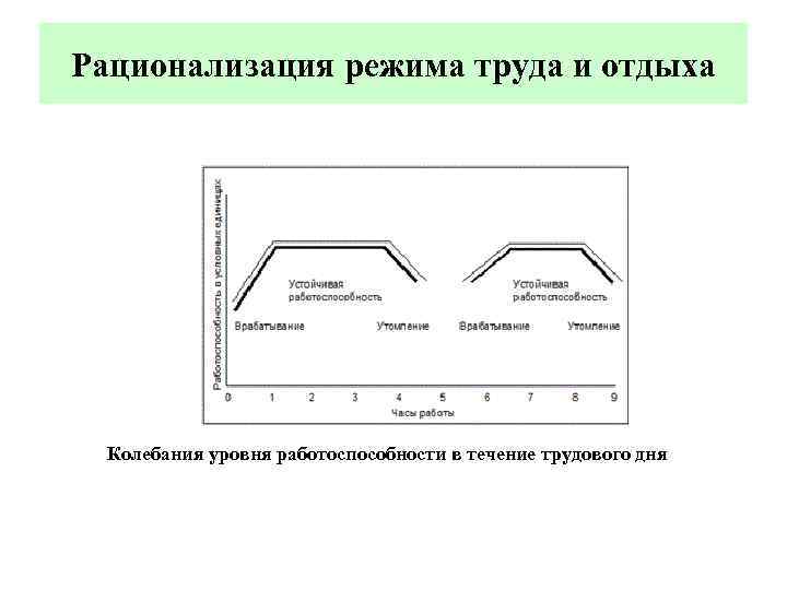 Динамика работоспособности режим дня презентация 8 класс