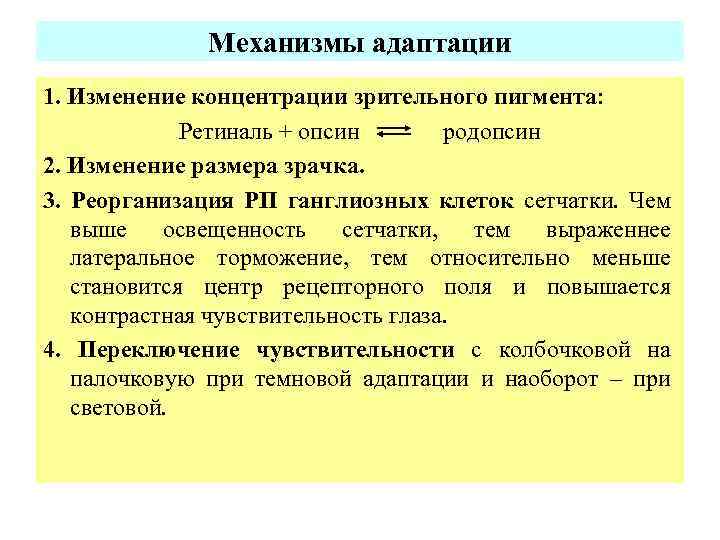  Механизмы адаптации 1. Изменение концентрации зрительного пигмента: Ретиналь + опсин родопсин 2. Изменение