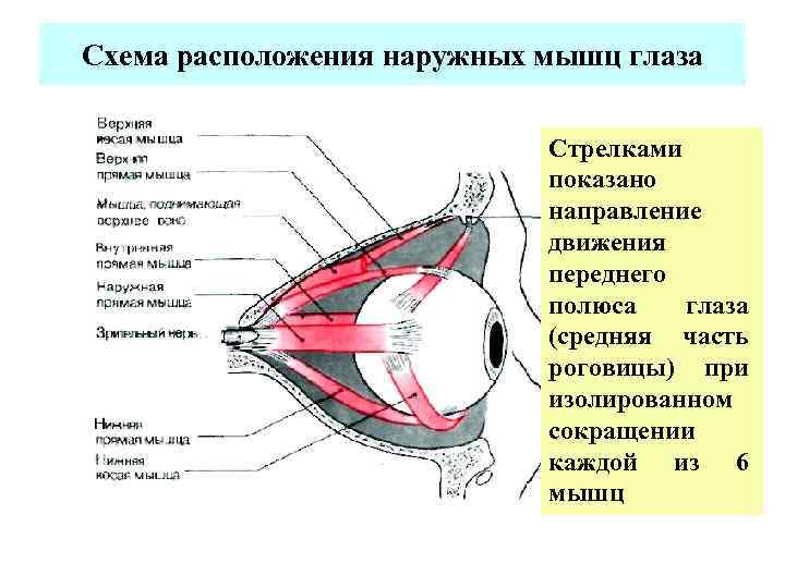 Расположение наружного