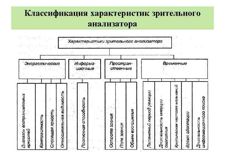 Классификация характеристик зрительного анализатора 