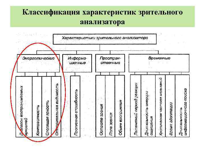 Классификация характеристик зрительного анализатора 