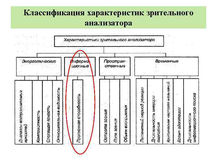 Классификация характеристик зрительного анализатора 