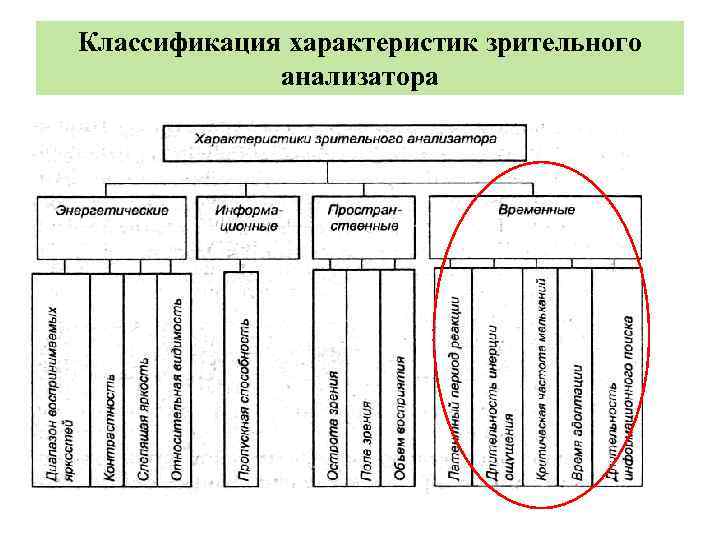 Классификация характеристик зрительного анализатора 