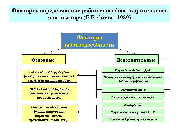 Факторы, определяющие работоспособность зрительного анализатора (Е. Е. Сомов, 1989) Факторы работоспособности Основные Дополнительные Улучшение