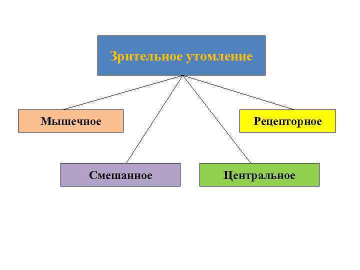  Зрительное утомление Мышечное Рецепторное Смешанное Центральное 