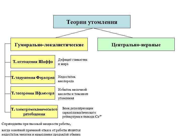 Теории утомления Гуморально-локалистические Т. истощения Шиффа Дефицит гликогена и жира Т. задушения Ферворна Недостаток