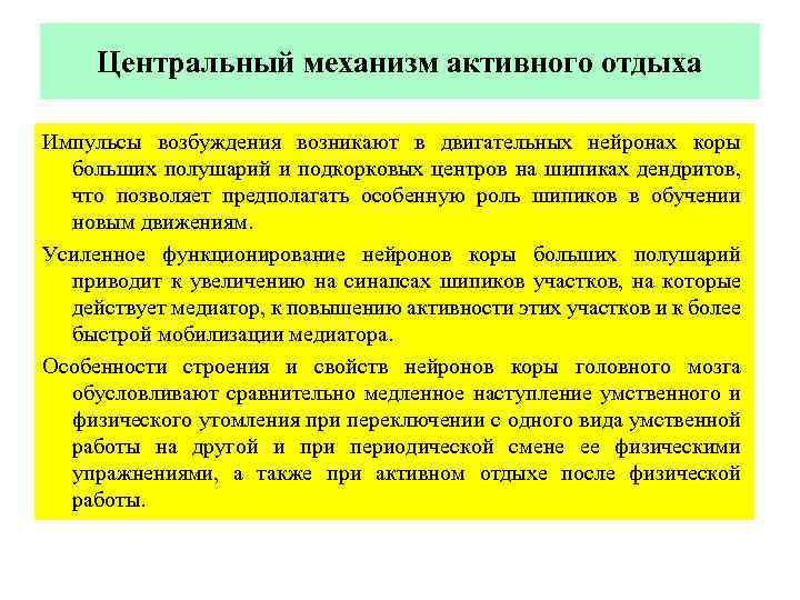 Центральный механизм активного отдыха Импульсы возбуждения возникают в двигательных нейронах коры больших полушарий и