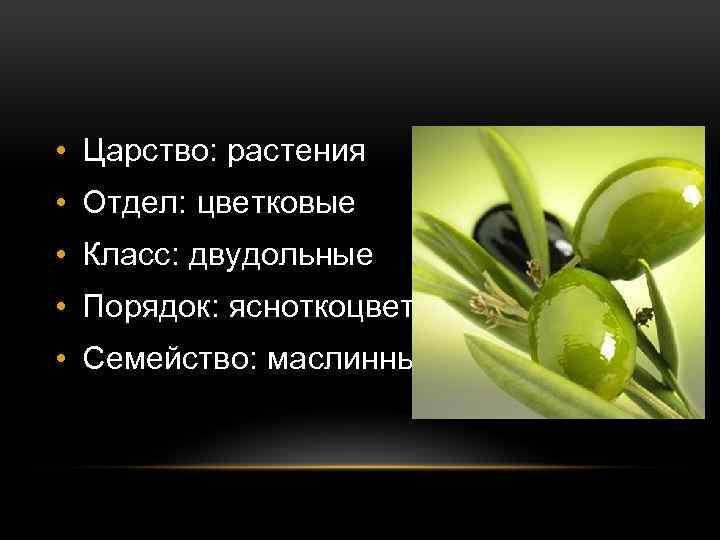  • Царство: растения • Отдел: цветковые • Класс: двудольные • Порядок: ясноткоцветные •