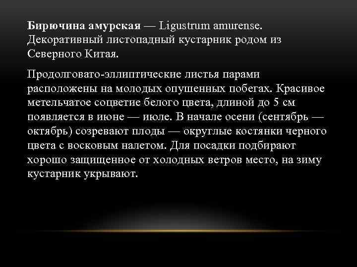 Бирючина амурская — Ligustrum amurense. Декоративный листопадный кустарник родом из Северного Китая. Продолговато-эллиптические листья