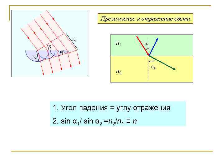 Преломление и отражение света n 1 n 2 α 1 α 2 1. Угол