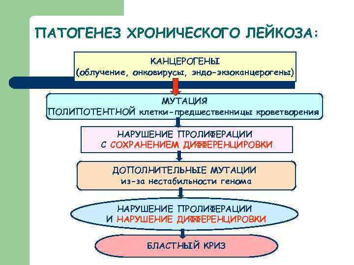 Патогенез лейкозов схема