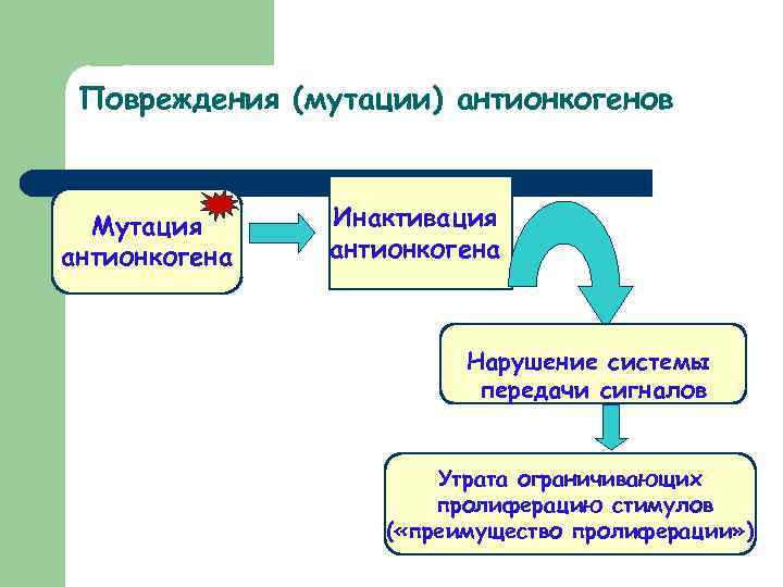 Повреждения (мутации) антионкогенов Мутация антионкогена Инактивация антионкогена Нарушение системы передачи сигналов Утрата ограничивающих пролиферацию