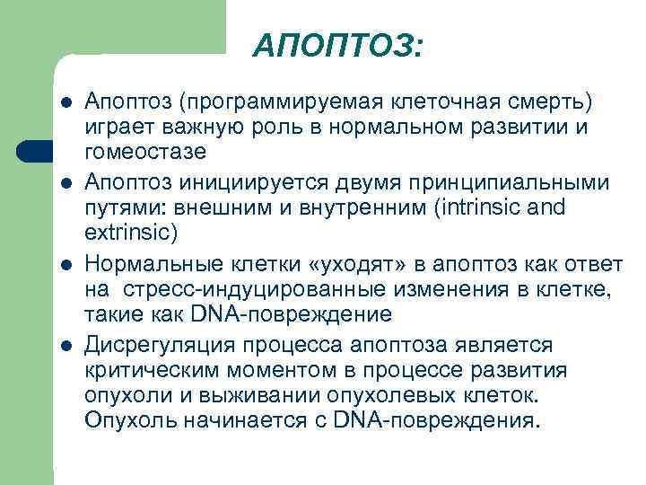 АПОПТОЗ: l l Апоптоз (программируемая клеточная смерть) играет важную роль в нормальном развитии и