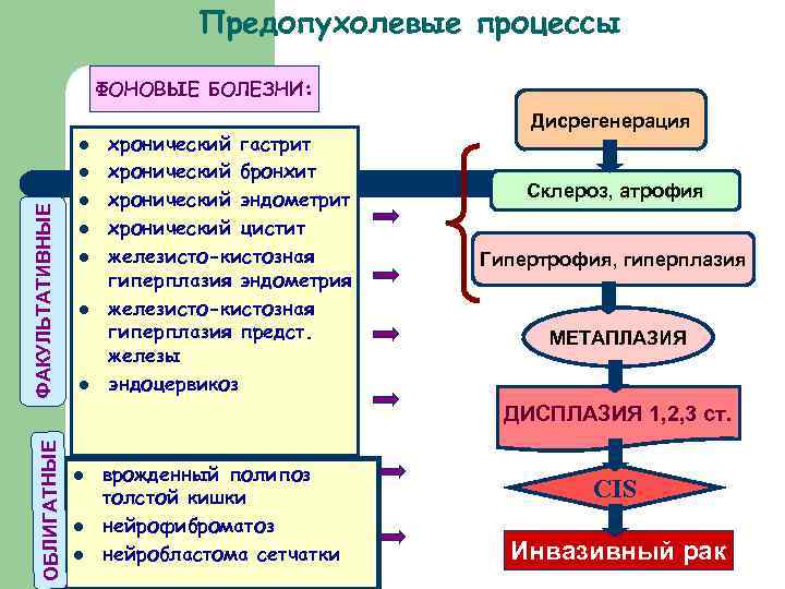 Предопухолевые процессы презентация