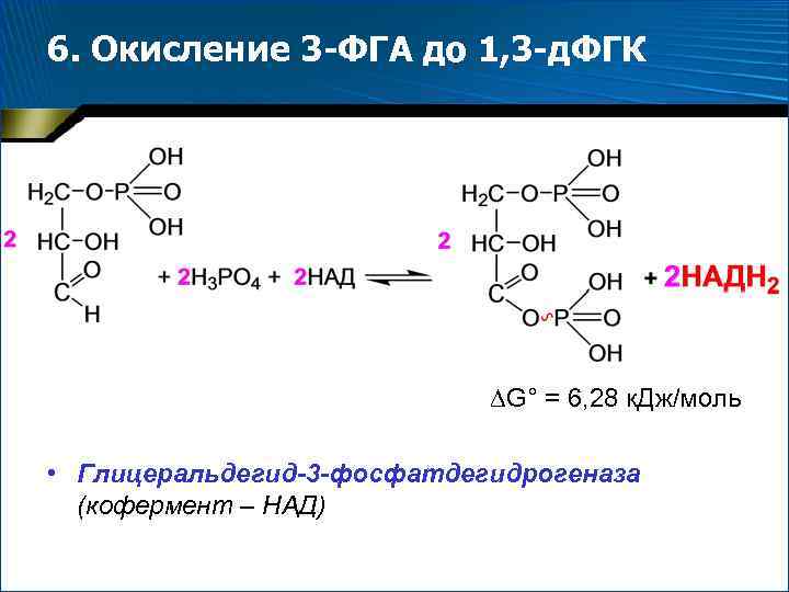 6. Окисление 3 -ФГА до 1, 3 -д. ФГК G° = 6, 28 к.