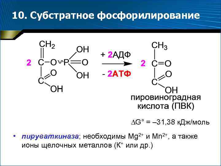 10. Субстратное фосфорилирование G° = – 31, 38 к. Дж/моль • пируваткиназа; необходимы Mg