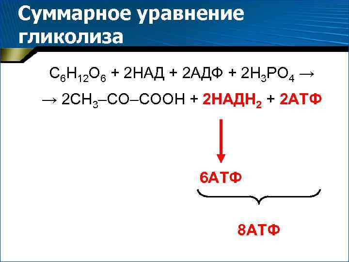 Суммарное уравнение гликолиза С 6 Н 12 О 6 + 2 НАД + 2