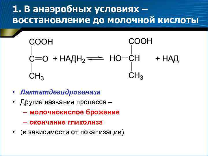 1. В анаэробных условиях – восстановление до молочной кислоты • Лактатдегидрогеназа • Другие названия