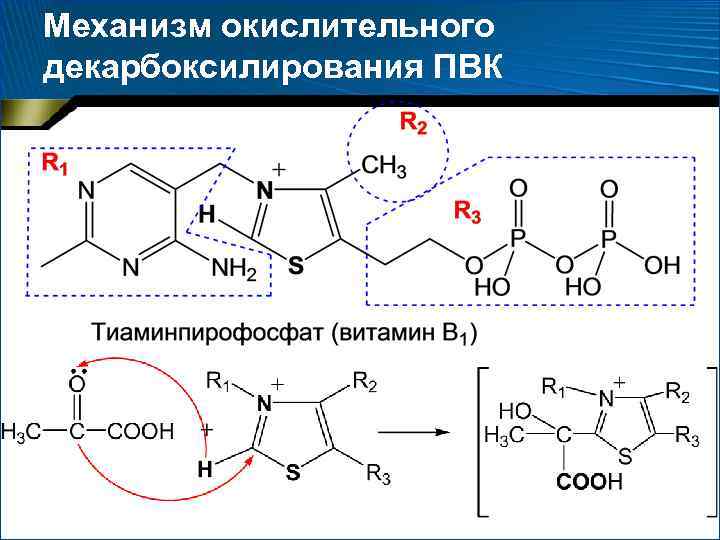 Механизм окислительного декарбоксилирования ПВК 