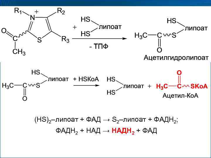 (HS)2–липоат + ФАД → S 2–липоат + ФАДН 2; ФАДН 2 + НАД →