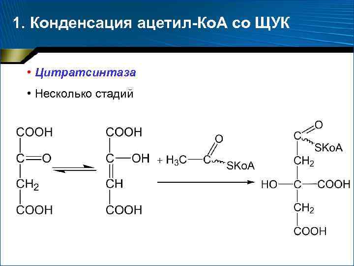 Ацетил