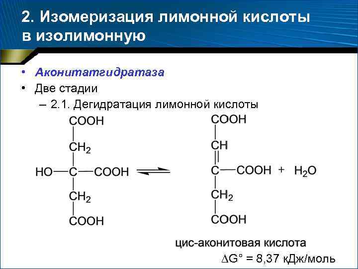 2. Изомеризация лимонной кислоты в изолимонную • Аконитатгидратаза • Две стадии – 2. 1.