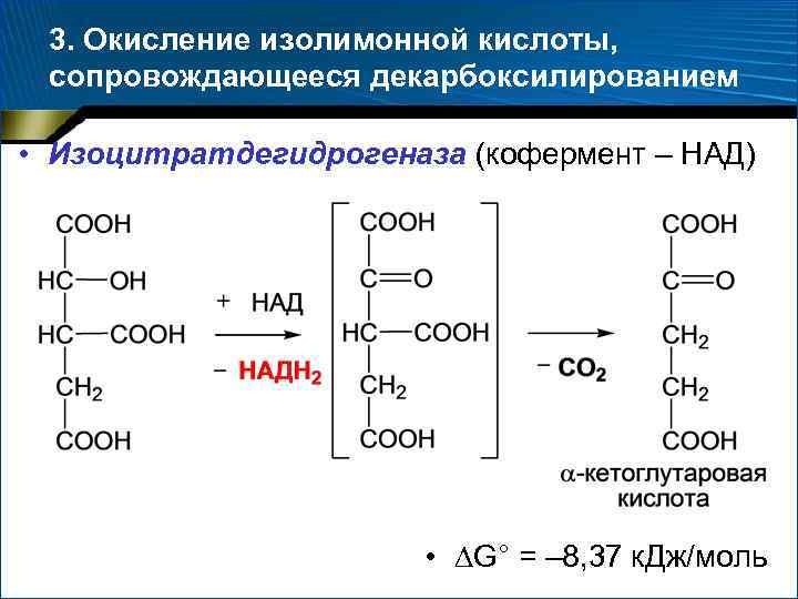 3. Окисление изолимонной кислоты, сопровождающееся декарбоксилированием • Изоцитратдегидрогеназа (кофермент – НАД) • G° =