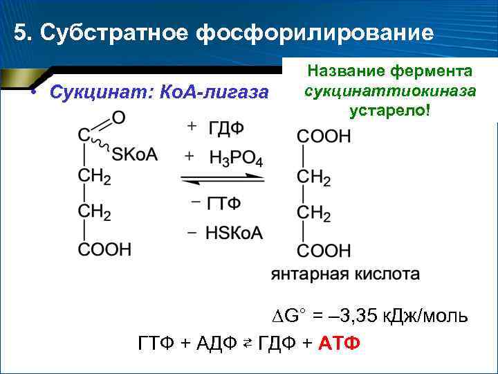 5. Субстратное фосфорилирование • Сукцинат: Ко. А-лигаза Название фермента сукцинаттиокиназа устарело! G° = –