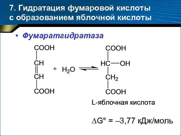 Е 1 образование