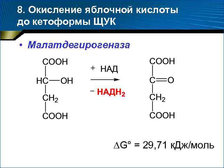 8. Окисление яблочной кислоты до кетоформы ЩУК • Малатдегирогеназа G° = 29, 71 к.