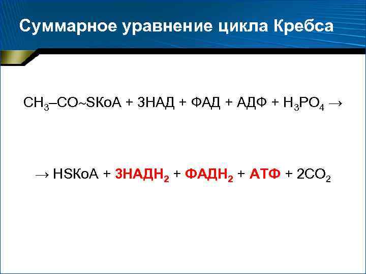 Суммарное уравнение цикла Кребса СН 3–СО SКо. А + 3 НАД + ФАД +