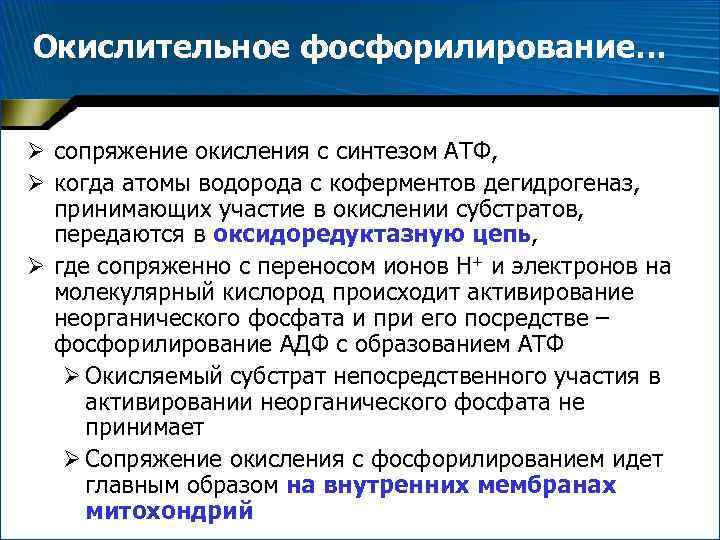 Окислительное фосфорилирование… Ø сопряжение окисления с синтезом АТФ, Ø когда атомы водорода с коферментов