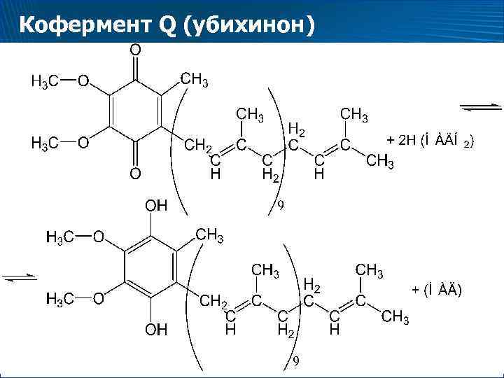 Кофермент Q (убихинон) 