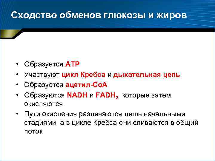 Сходство обменов глюкозы и жиров • Образуется АТP • Участвуют цикл Кребса и дыхательная