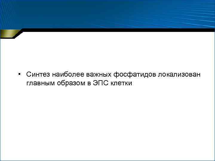  • Синтез наиболее важных фосфатидов локализован главным образом в ЭПС клетки 
