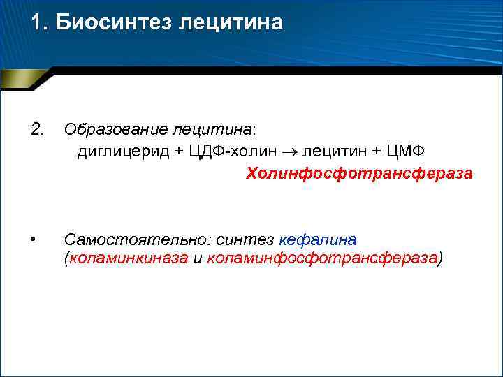 1. Биосинтез лецитина 2. Образование лецитина: диглицерид + ЦДФ-холин лецитин + ЦМФ Холинфосфотрансфераза •