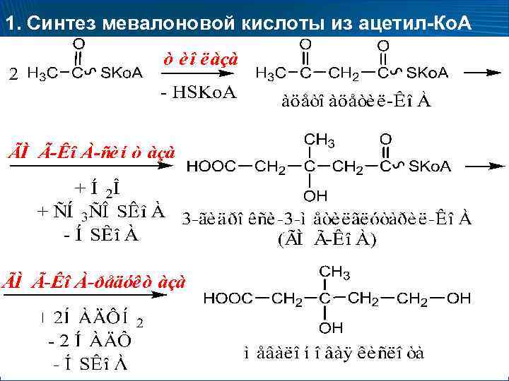 1. Синтез мевалоновой кислоты из ацетил-Ко. А 