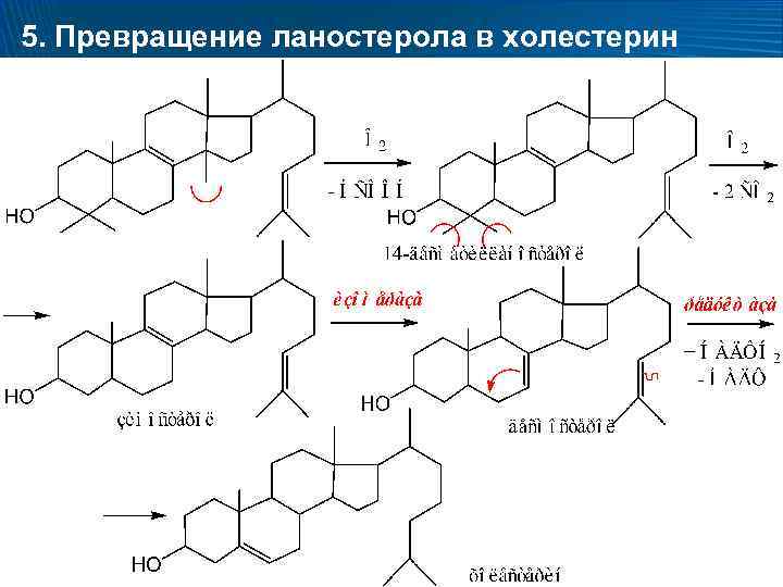 5. Превращение ланостерола в холестерин 