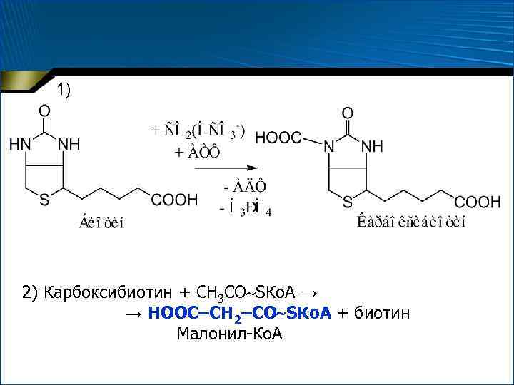 1) 2) Карбоксибиотин + СН 3 СО SКо. А → → НООС–СН 2–СО SКо.