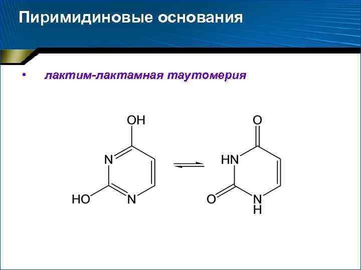 Пиримидиновые основания