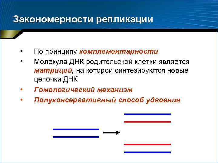 Закономерности репликации • • По принципу комплементарности, Молекула ДНК родительской клетки является матрицей, на