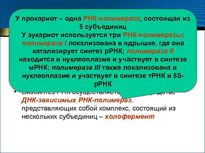 У прокариот – одна РНК-полимераза, состоящая из 5 субъединиц У эукариот используется три РНК-полимеразы: