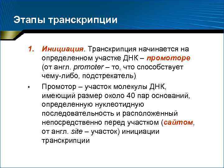 Этапы транскрипции 1. • Инициация. Транскрипция начинается на определенном участке ДНК – промоторе (от