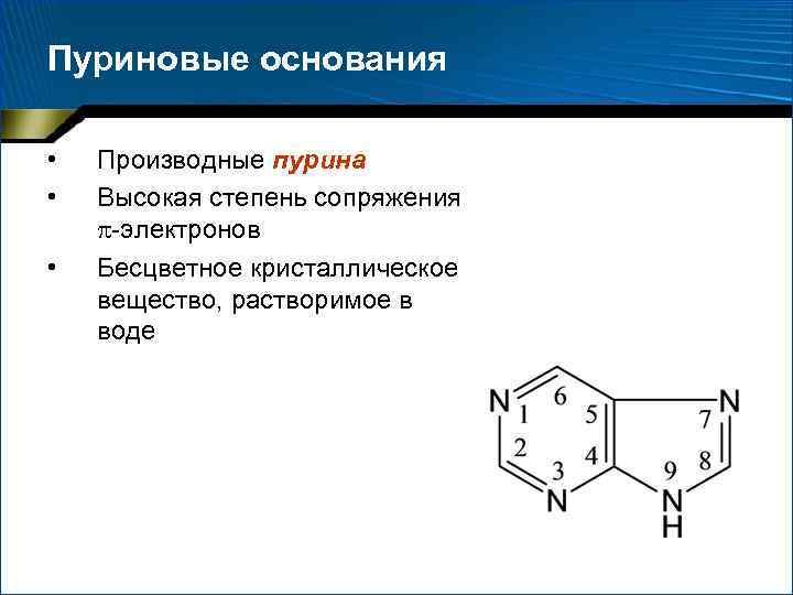 Пуриновые основания • • • Производные пурина Высокая степень сопряжения -электронов Бесцветное кристаллическое вещество,