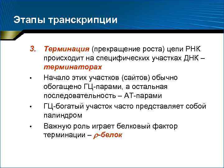 Этапы транскрипции 3. • • • Терминация (прекращение роста) цепи РНК происходит на специфических