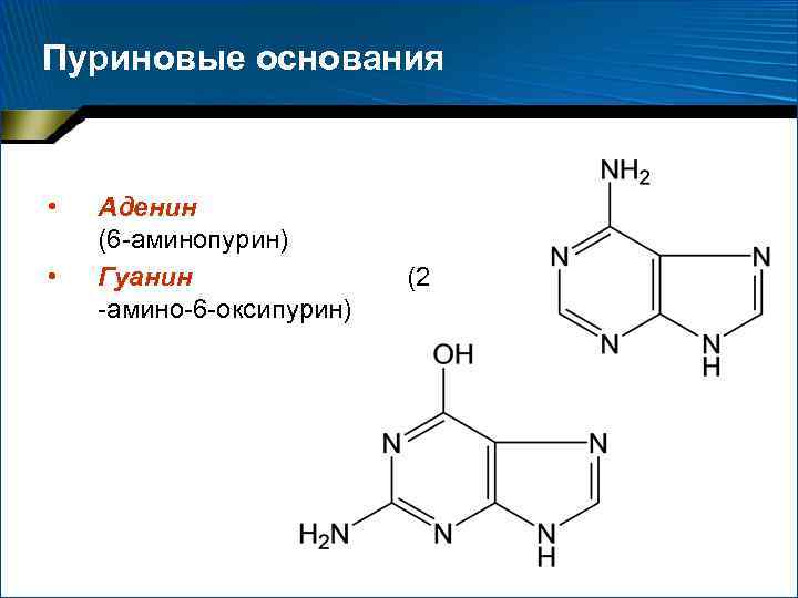 Аденин формула структурная фото