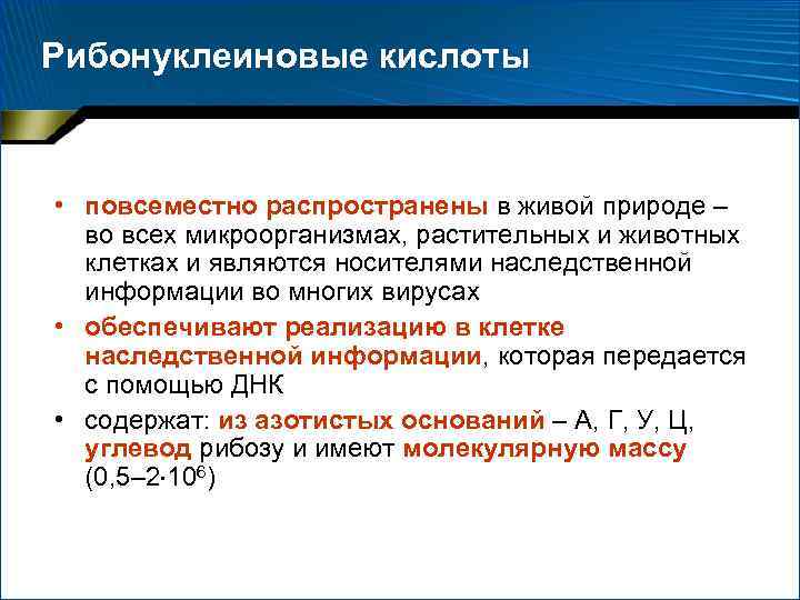 Рибонуклеиновые кислоты • повсеместно распространены в живой природе – во всех микроорганизмах, растительных и