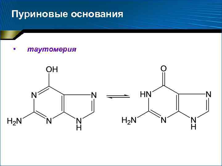 Пуриновым основанием является